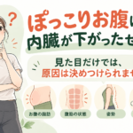 ぽっこりお腹は内臓が下がったせい？ 見た目だけでは原因を決めつけられません。お腹の脂肪・腹筋の状態・姿勢・便秘やガスなどの要因を紹介する図解